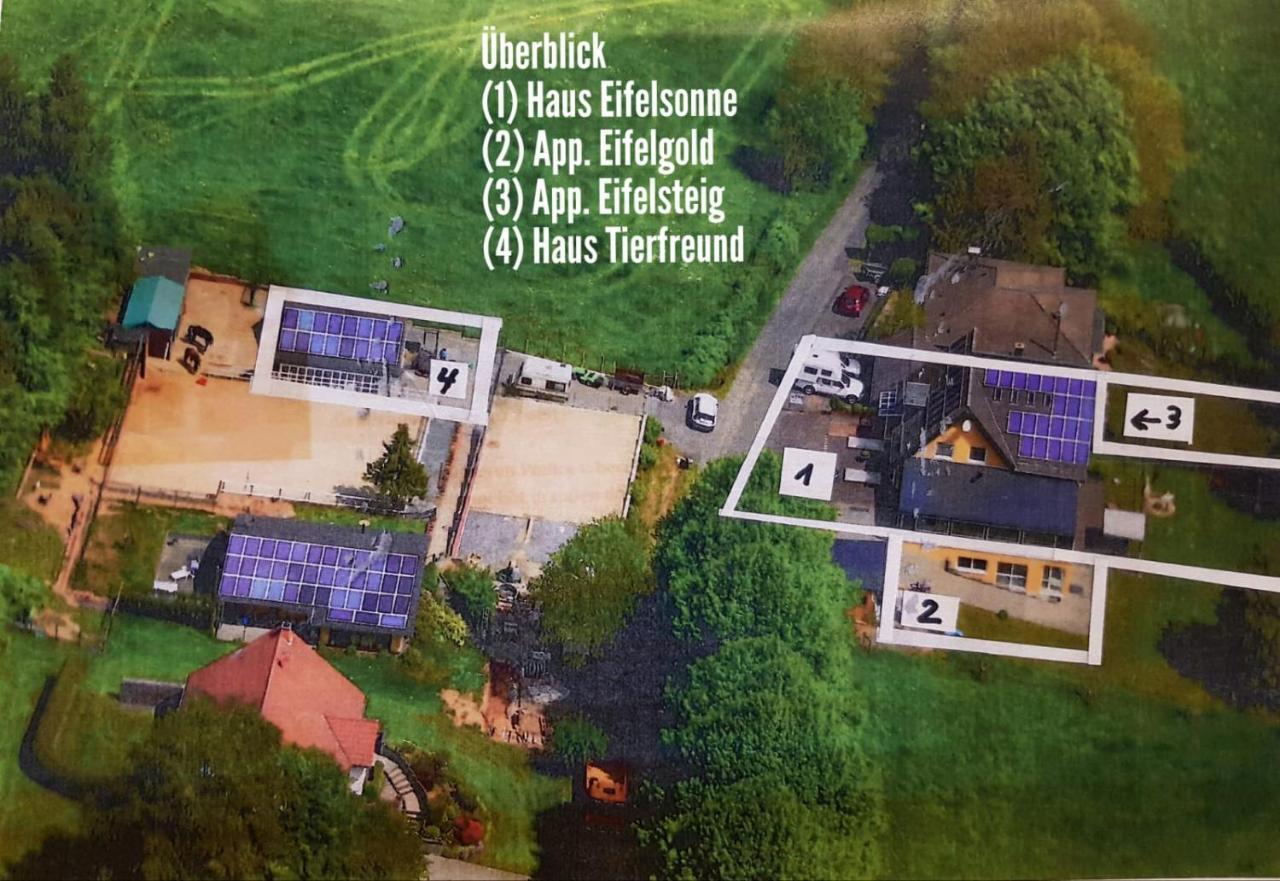 Appartement Eifelsteig Hollerath Екстер'єр фото